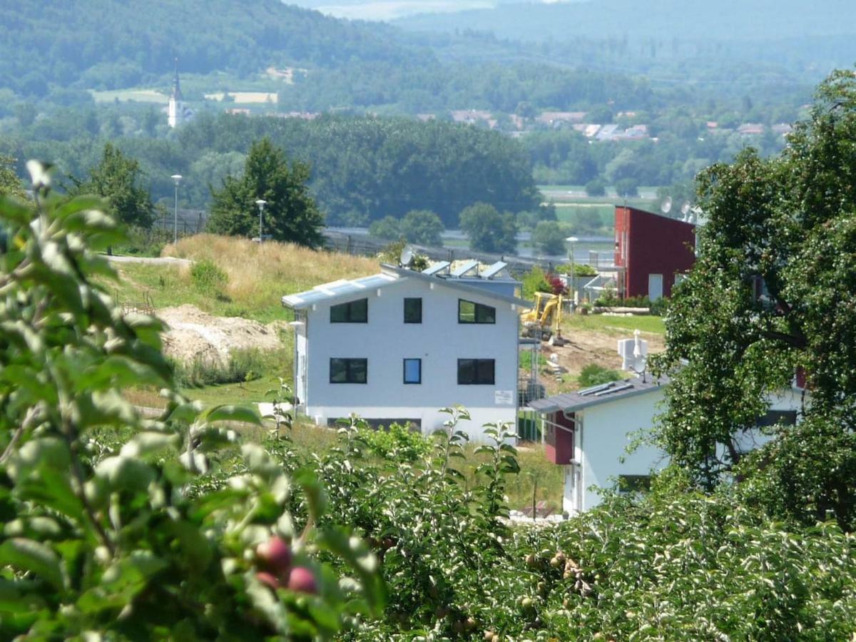 בודמן-לודוויגסהפן Haus Bodenseeblick מראה חיצוני תמונה
