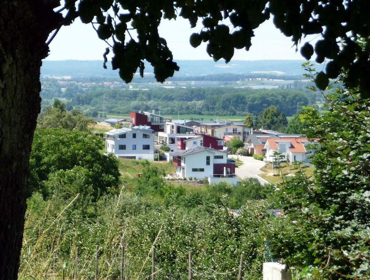 בודמן-לודוויגסהפן Haus Bodenseeblick מראה חיצוני תמונה